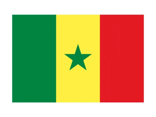 La crise au Sénégal donne lieu à deux manifestations à Mantes-la-Jolie