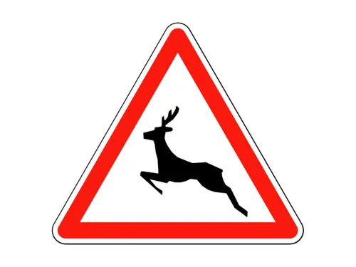 Bientôt des grillages le long de la RN10 à Rambouillet