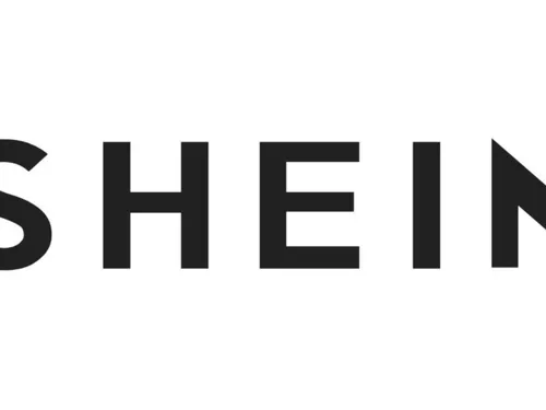 Shein n'ira pas à l'Assemblée nationale