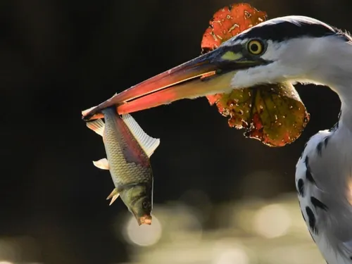 « L'eau, la vie » : quel cliché sera élu par les Franciliens ? 