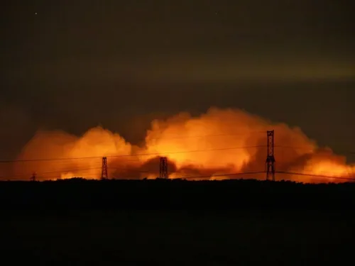Les différentes conséquences des incendies de Fontainebleau
