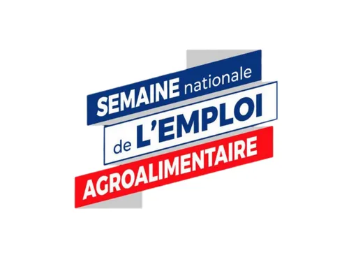 Hauts-de-France : une semaine pour trouver un job dans...