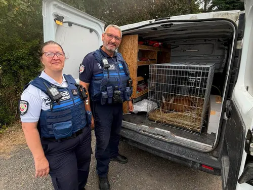 Clermont : 2 policiers ont sauvé une chevrette 