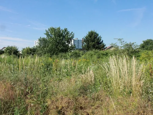 Le conseil régional d'Île-de-France veut « reconquérir les friches...