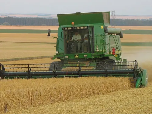 Les fortes chaleurs ont avancé la date des moissons dans la Somme
