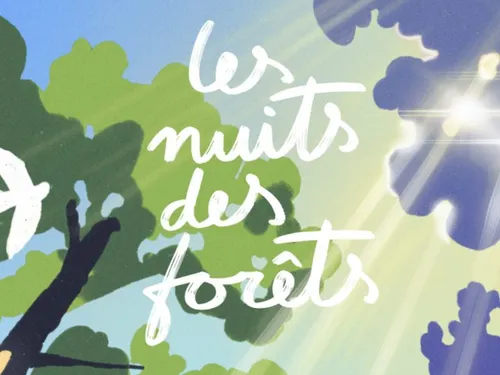 Les Nuits des forêts reviennent proposer des événements gratuits...
