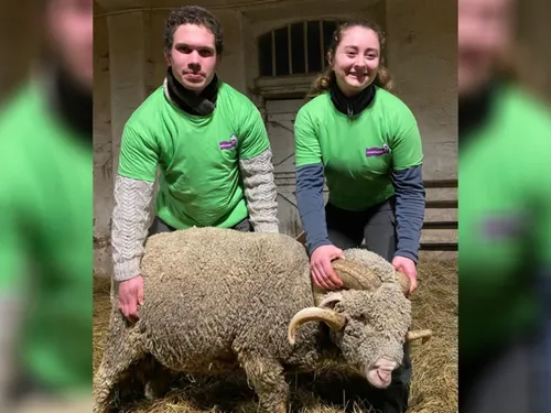 Les meilleurs jeunes bergers d'Île-de-France sont yvelinois 