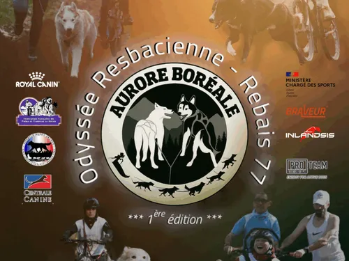 Une course de chiens de traineau en Seine-et-Marne