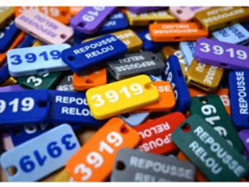 Des sifflets distribués en Seine-et-Marne pour faire fuir les «...