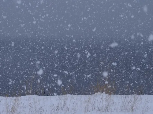 Les Seine-et-Marnais majoritairement mécontents après l’épisode de...