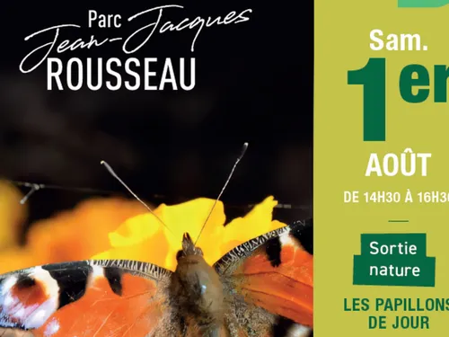 Les papillons de jour se dévoilent au parc d’Ermenonville
