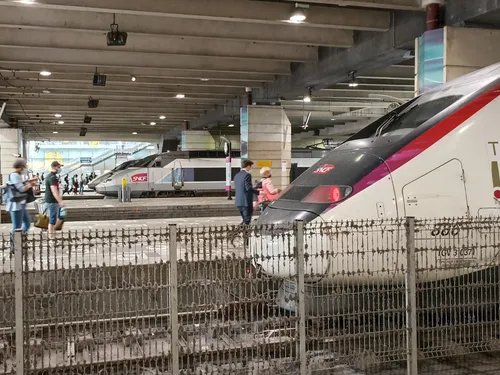 La SNCF est finalement condamnée après la mort d'un chat