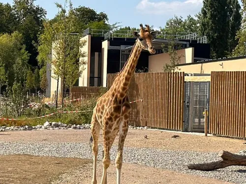 Le zoo d’Amiens bat à nouveau son record de fréquentation !