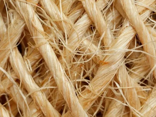 Hauts-de-France : il reste un peu plus d’une semaine pour répondre...