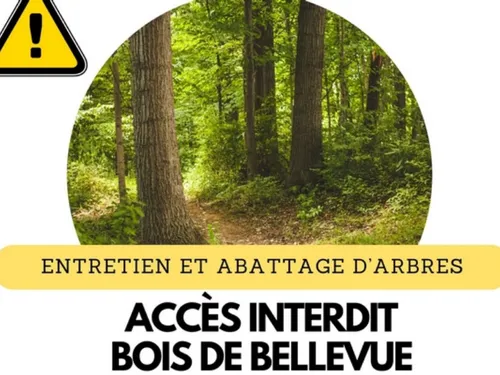 Un bois trop dangereux pour les promeneurs à Maintenon