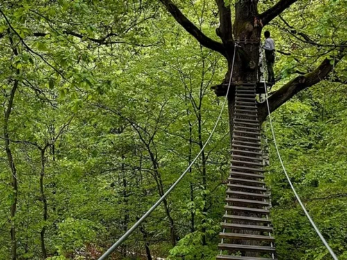 Un ado fait une chute de 5 mètres dans un accrobranche de Seine-Port