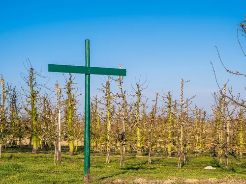 Des agriculteurs déterminés!