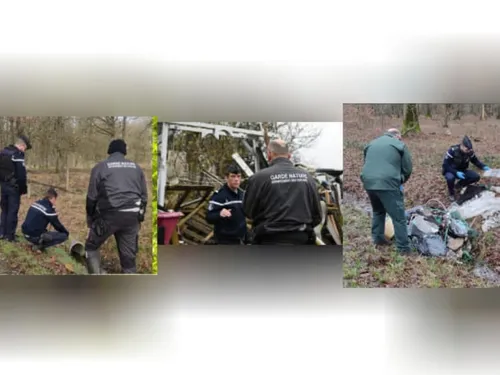 Les autorités agissent pour protéger la nature dans les Yvelines