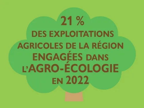 Plus de 4.800 fermes des Hauts-de-France engagées dans l'agro-écologie