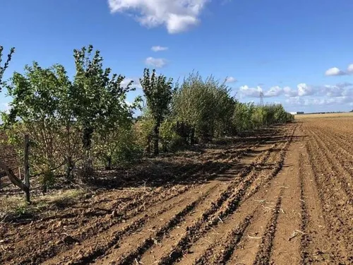 Chartres Métropole soutient les agriculteurs qui suivent une voie...