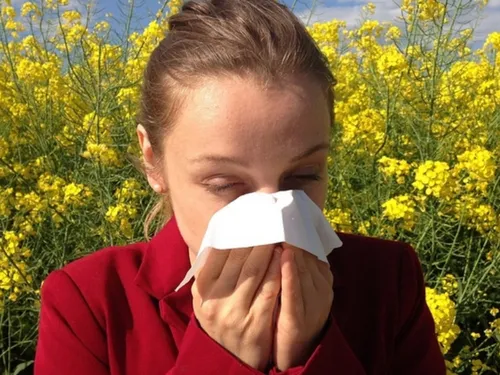 Le risque d'allergie aux pollens toujours dans le « rouge » en...
