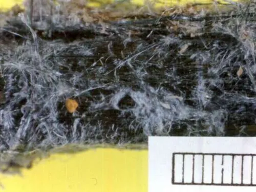 Les Saint-Gobain de Thourotte réclament deux millions d’euros pour...