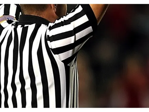 La Seine-et-Marne bien représentée dans l'arbitrage des J.O.