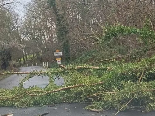 La tempête Floriane a fait des dégâts en Seine-et-Marne