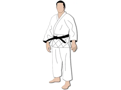 Les arts martiaux regroupent des milliers d'adeptes en Eure-et-Loir