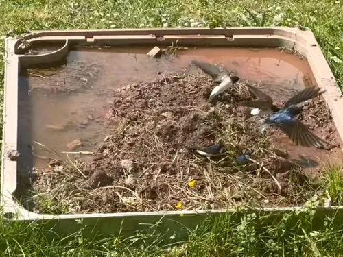 Des centaines de mystérieux « bacs à boue » réparties dans les...