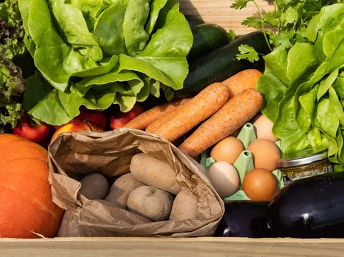 Yvelines : un projet de ferme sur l'ancienne « mer de déchets »