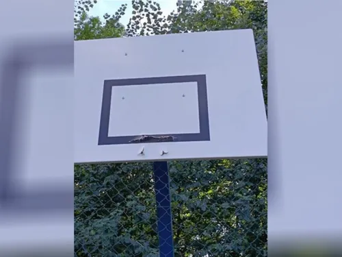 Les incivilités se multiplient dans un village proche de Limay