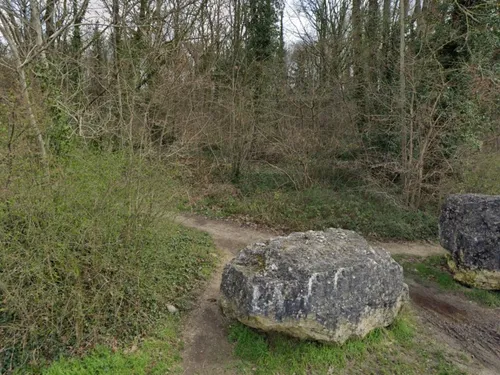 Vert-Saint-Denis : une lycéenne sexuellement agressée dans un bois