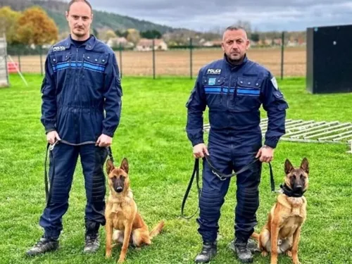 Deux équipes cynophiles vont bientôt renforcer la police municipale...