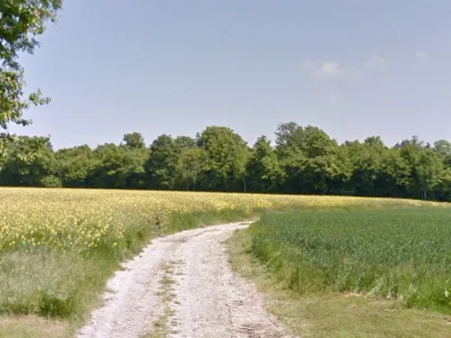 La Seine-et-Marne abrite le point culminant naturel de l’Île-de-France