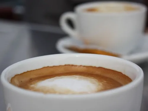 Fontainebleau : des cafés et restaurants auraient abrité du travail...