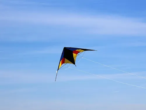 Trois as du cerf-volant amiénois vont montrer de quoi ils sont...