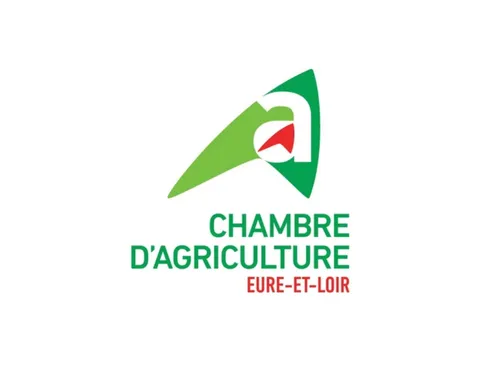 La participation en berne pour les élections à la chambre...