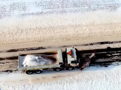 L'Eure-et-Loir compte bien prendre soin des routes cet hiver