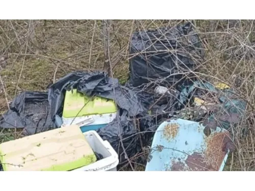 Animaux : une véritable scène d’épouvante à Triel-sur-Seine