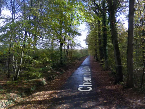 Un cadavre retrouvé dans la forêt de Rougeau à Nandy