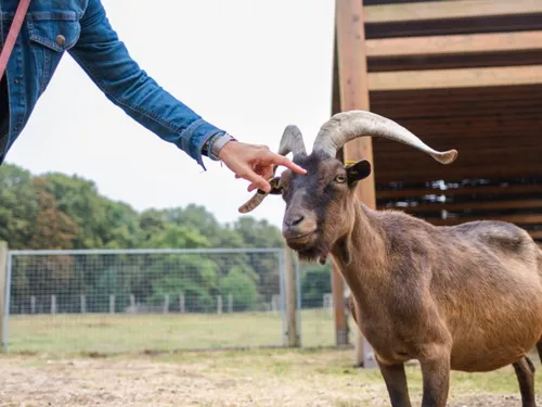 Le Département des Yvelines sera présent au Salon international de...