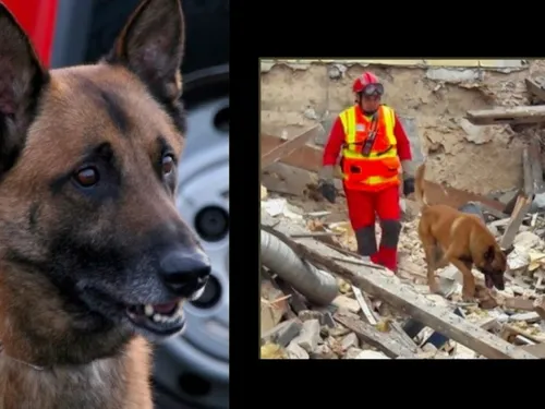 Les pompiers euréliens viennent de perdre une précieuse recrue 