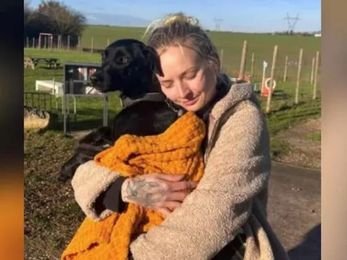 Une chienne retrouvée à Villeneuve-sous-Dammartin neuf jours après...