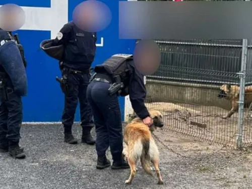 Trois chiens maltraités sauvés par des policiers à Creil 