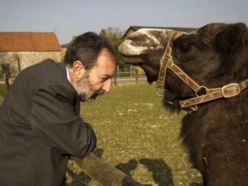 Le maire de Janvry a réussi son défilé de camélidés 