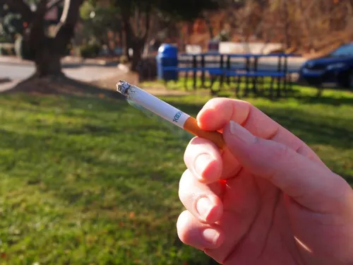 Dans les Hauts-de-France, le rêve d'une première « génération sans...