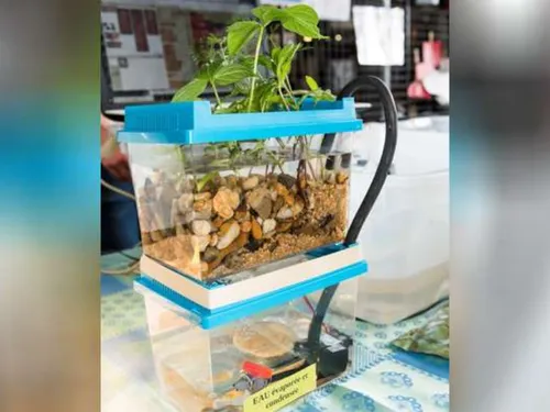 Des jeunes défendent l'Essonne ce mercredi lors d'un concours...