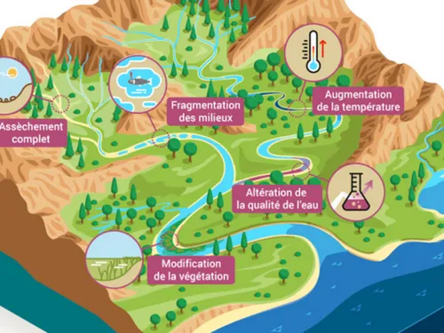 La sécheresse a eu un impact assez élevé sur les cours d'eau...