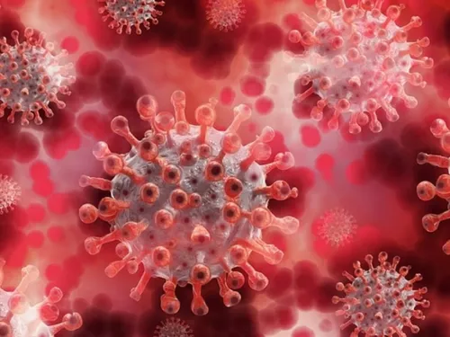 Le covid à l'assaut des Hauts-de-France